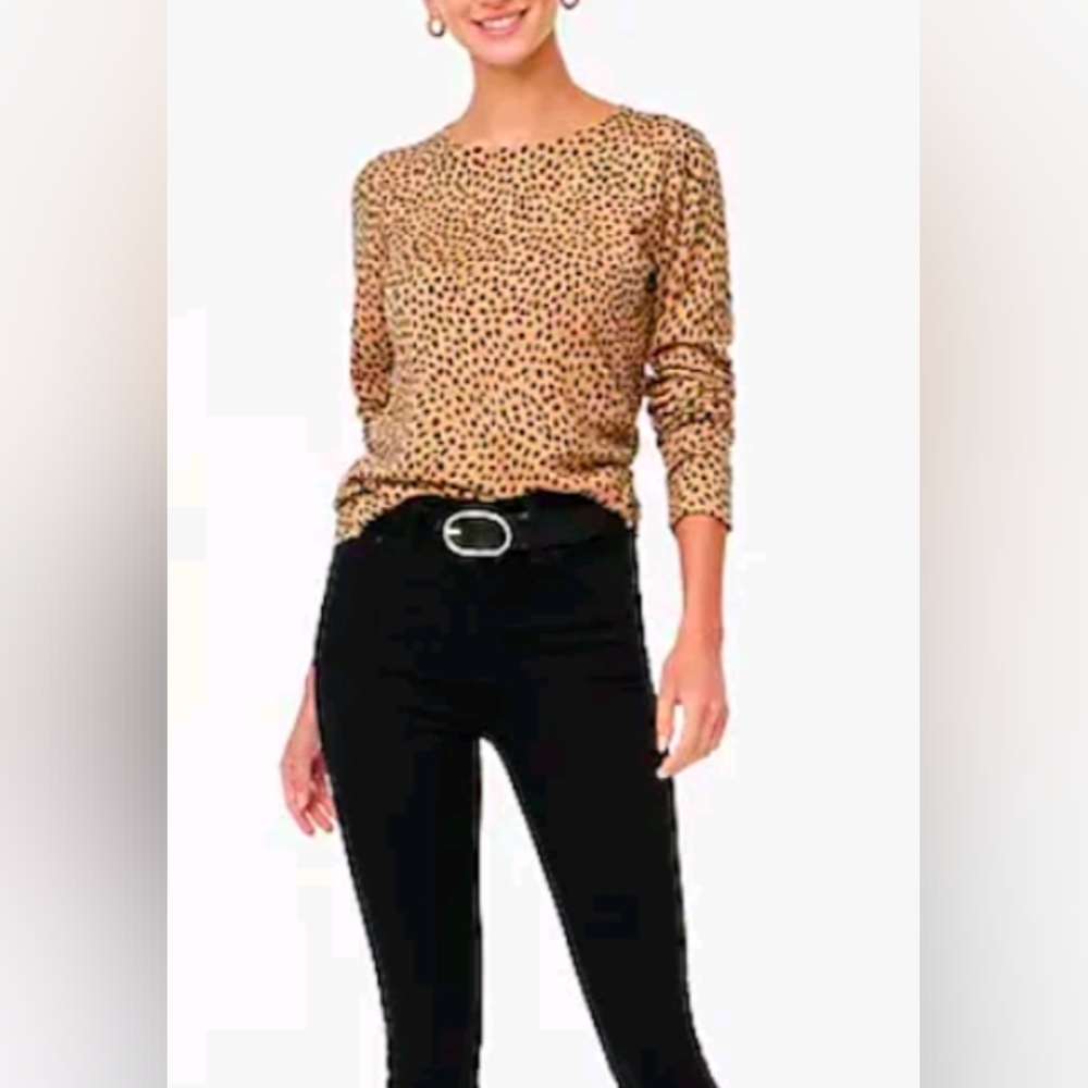 J Crew Cheetah Print Teddie Sweater
